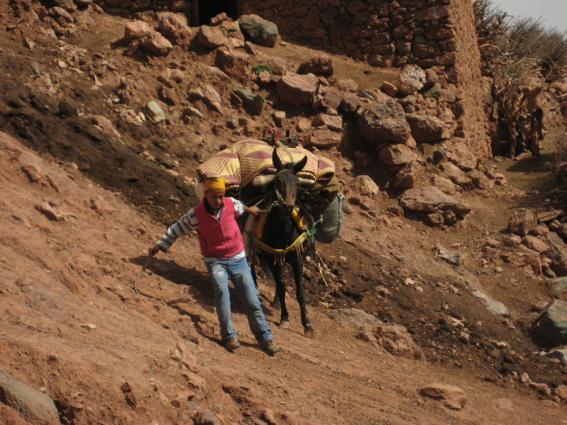 two people, away, trekking, mule, oblique, adventure, slip, full length, mountains, leisure activity, mountain, roof rack, people, effort, solid, slipping