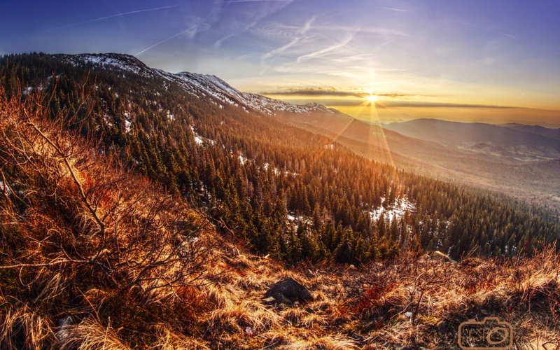 trees, clouds, scenics - nature, mountains, land, tree, beauty in nature, non-urban scene, Poland, sunrise, sunlight, sky, environment, plant, tranquil scene