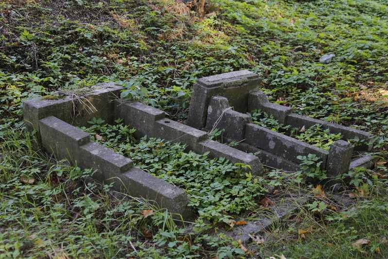 wood - material, cemetery, obsolete, day, graves, plant, świerczewo disctrict, 2 world war i, tranquility, growth, outdoors, second world war, no people