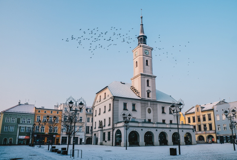 spire, building, animal, religion, vertebrate, no people, group of animals, animal wildlife, architecture, the market, the town hall, tower, gliwice, building exterior