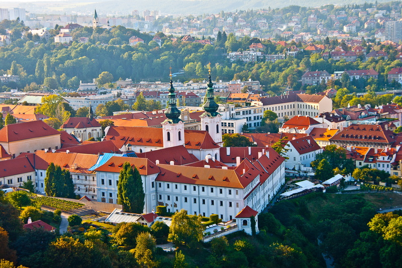 crowd, europe, town, townscape, roof, history, urban Skyline, concrete, built structure, day, urban Scene, cityscape, community, plant, photography, tree