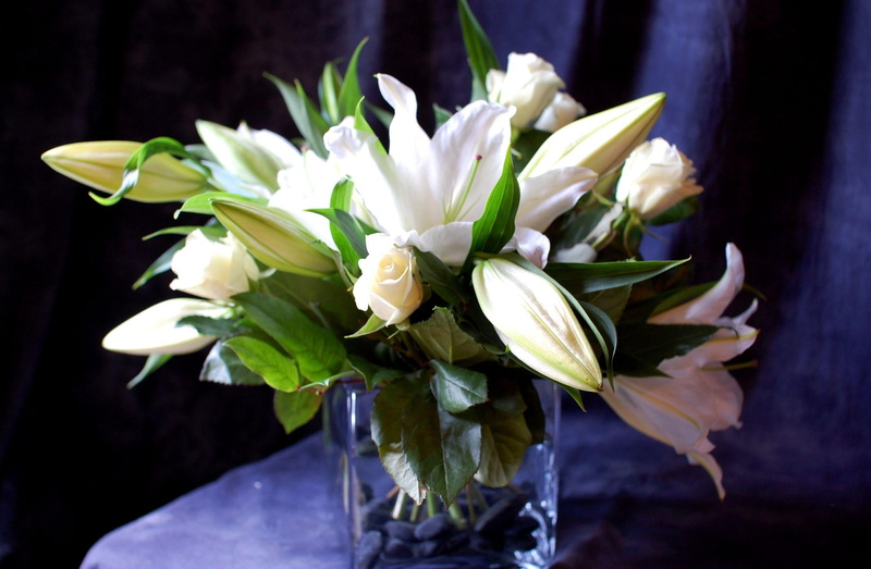arrangement, plant, backgrounds, petal, white, yellow, springtime, leaf, decoration, bunch of flowers, botany, flower, single Flower, roses, vase, no People