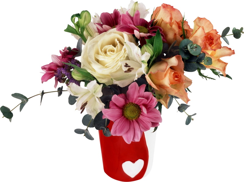 fragility, isolated, bouquet, wedding, cut Flowers, pink, arrangement, rose, freshness, flowers, flowering plant, no people, white Background, bunch of flowers