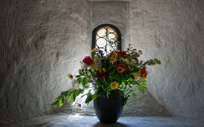 1080P, flower head, window, flower, old-fashioned, indoors, flowers, flower arrangement, vase, bunch of flowers, flower Pot, old, vulnerability, church