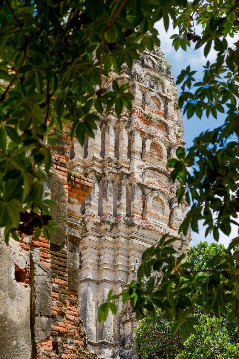 plant, no people, built structure, low angle view, wat chai wattanaram, outdoors, nature, place of worship, 2K, miss, architecture, spirituality, faith