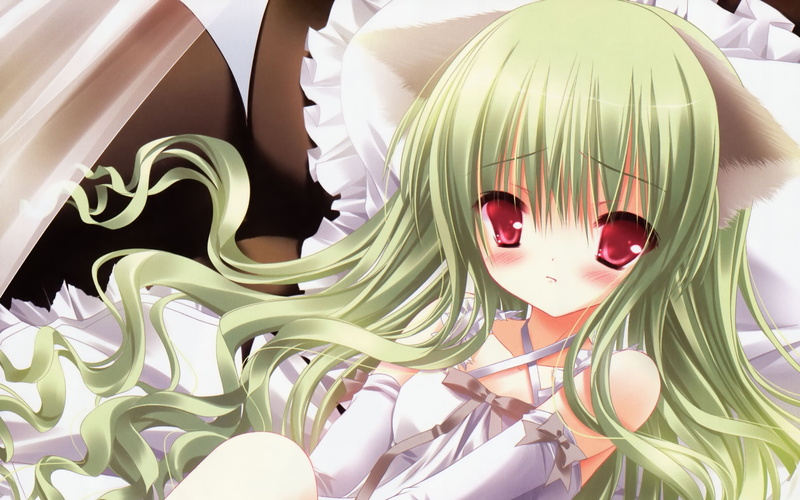 hd, girls, x, hot, ayase, animal, animal ears, anime, tsugumi, art, shinomiya, wallpa, illustrations, ears, 1080P, crown, guilty