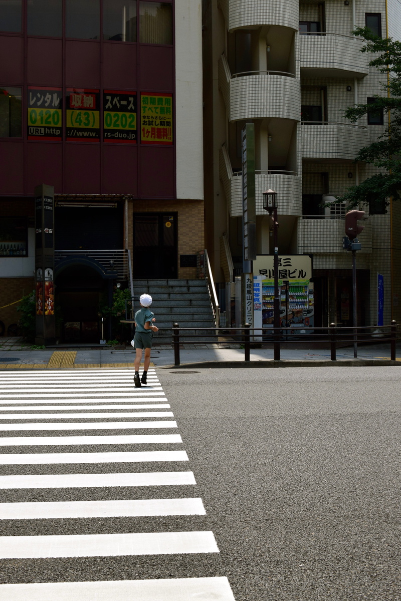 road, real people, street, walking, chiyoda-ku, outdoors, transportation, built structure, day, tokyo, sign, city, crossing, marking, zebra crossing, one person