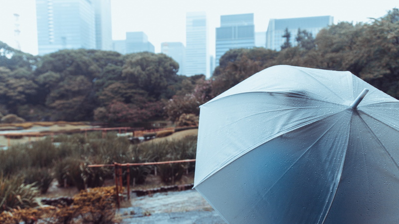 no people, chiyoda-ku, tokyo, close-up, wet, outdoors, 2K, plant, rain, water, day, imperial palace, japan, security, protection, built structure, building exterior