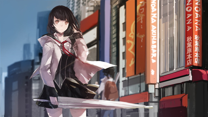 1080P, Akibas Trip, Anime