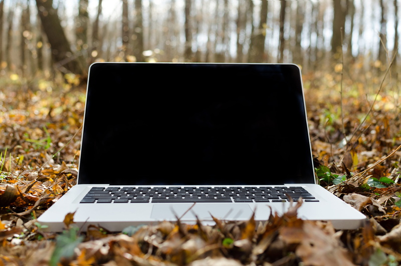 copy space, leaves, land, technology, macbook, blank, apple, communication, keyboard, hardware, 4K, computer equipment, computer monitor, global communications