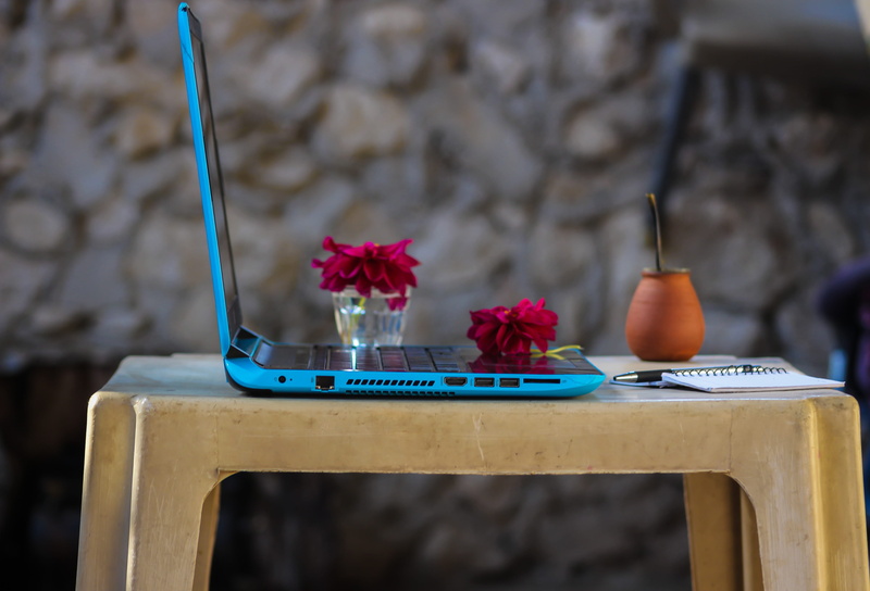 flowers, creativity, water, dahlia, bloom, container, still life, nature, flower, top, day, wood - material, blue, tray, focus on foreground, table, 4K