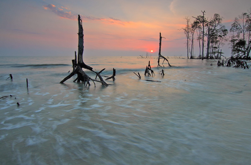 trees, landscape, 1080P, sunset, evening, sun, seashore, sea, horizon over water, ocean, cloud - sky, dawn, tranquil scene, post, travel, royalty  images