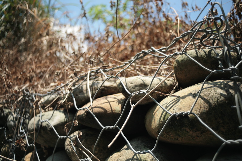 close-up, military uniform, tree, day, plant, dry, sunlight, dead plant, clothing, 4K, archaeology, animal, outdoors, cricket insect, sphere, apparel