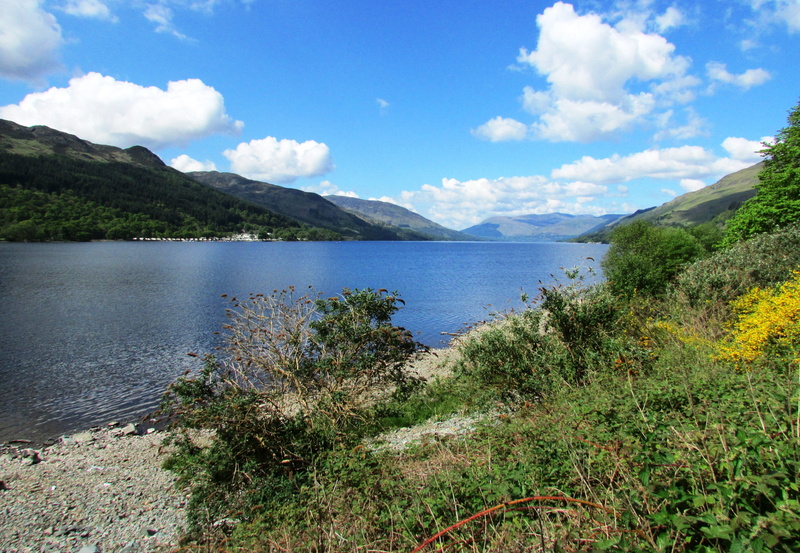 sky, mountain, landscape, scenery, 4K, tree, day, nature, tranquil scene, idyllic, plant, Lake, tranquility, remote, water, growth, highlands, Scotland