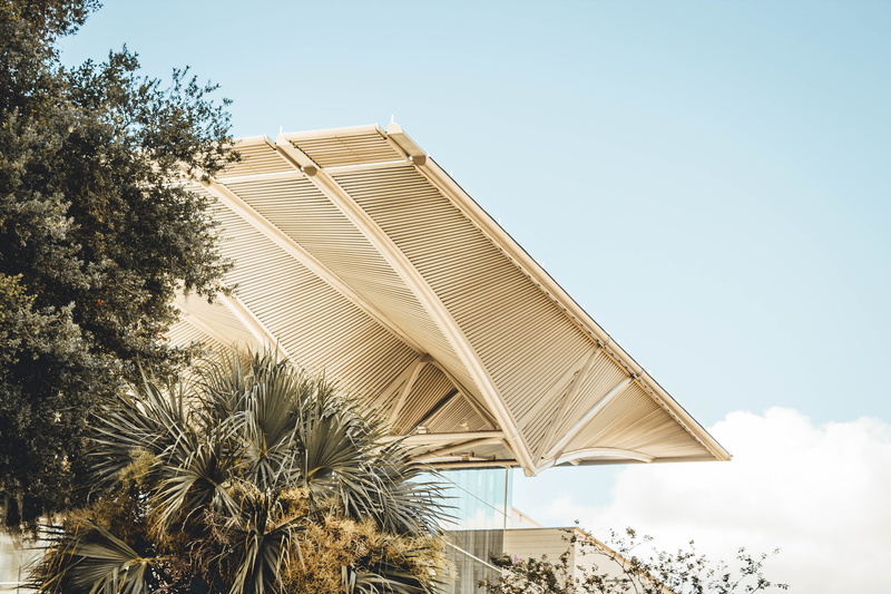 city, outdoors, day, tree, architecture, abstract, palm tree, plant, growth, modern design, palm leaf, summer, orlando, urban, apartment building, 5K