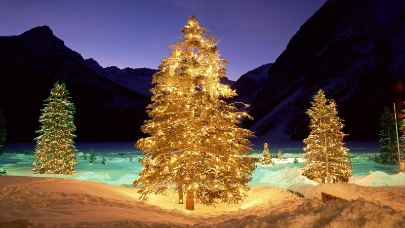 holidays, 1920x1080, trees, pine, christmas, string, tree, lights, outdoors, merry christmas, lighted, 1080P