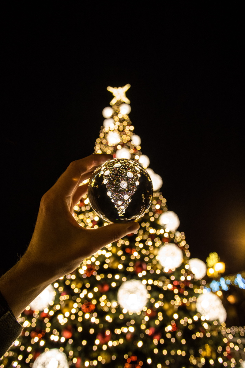 luxury, 5K, christmas tree, diamond - gemstone, copy space, flare, studio shot, precious gem, human body part, human, black background, family, winter