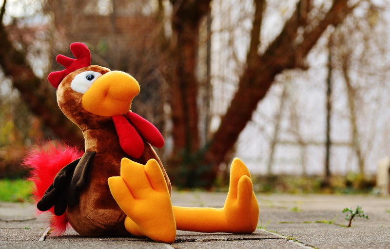 soft toy, representation, hahn, bird, toys, 5K, stuffed animal, nature, toy, day, plant, yellow, fun, outdoors, children, craft, food, autumn, concrete