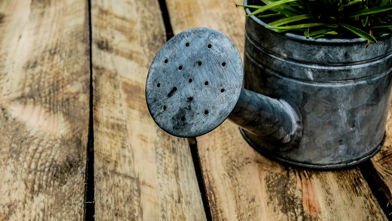 focus on foreground, door, stainless, old, close-up, metal, handle, outdoors, box, can, nature, weathered, day, wood - material, watering, design, entrance