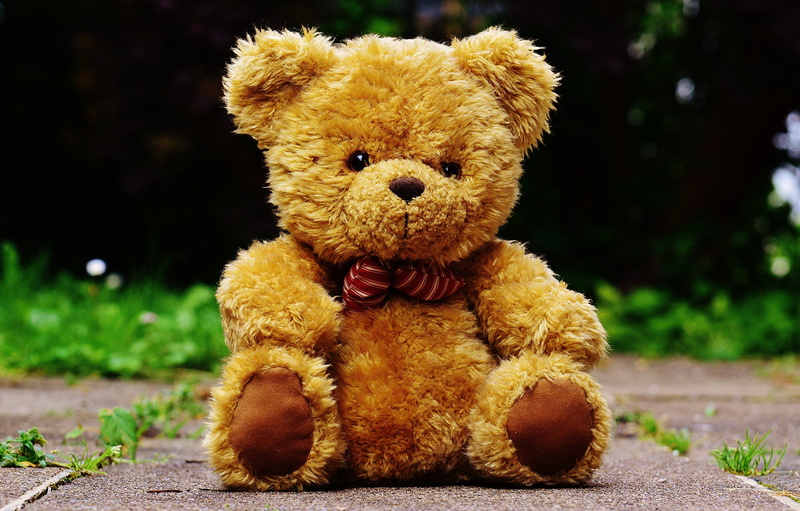 sweet, brown, toy, flooring, gray, love, toys, teddy, nature, single object, fun, soft toy, 5K, day, animal, bears, bear, cute, concrete, animal representation