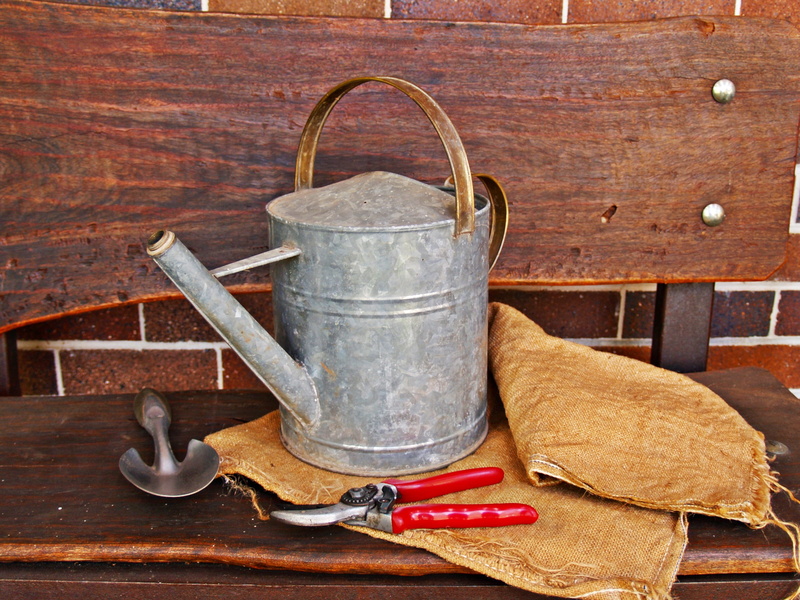 wooden bench, gardening tools, hessian, garden tools, old, gray, horticulture, 2K, tool, can, pruner, food, kitchen utensil, equipment, wood - material