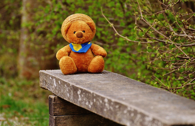 stuffed toy, nature, bank, day, brown, plant, representation, human representation, toy, wooden, land, childhood, wood - material, bench, teddy, teddy bear