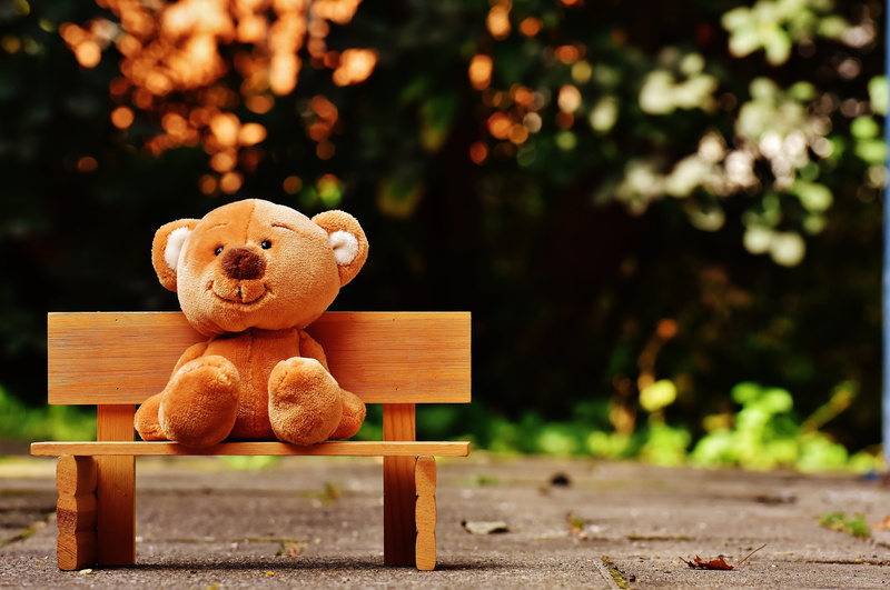 5K, bench, rest, teddy, plant, creativity, park - man made space, softness, children toys, bear, bank, soft toy, day, seat, art and craft, tree, child