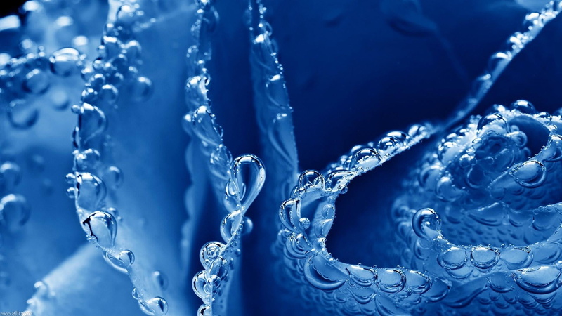series, abstract, ripple, pattern, motion, bubble, necklace, azure, backdrop, selective focus, macro, clear, drop, attachment, extreme close-up, backgrounds