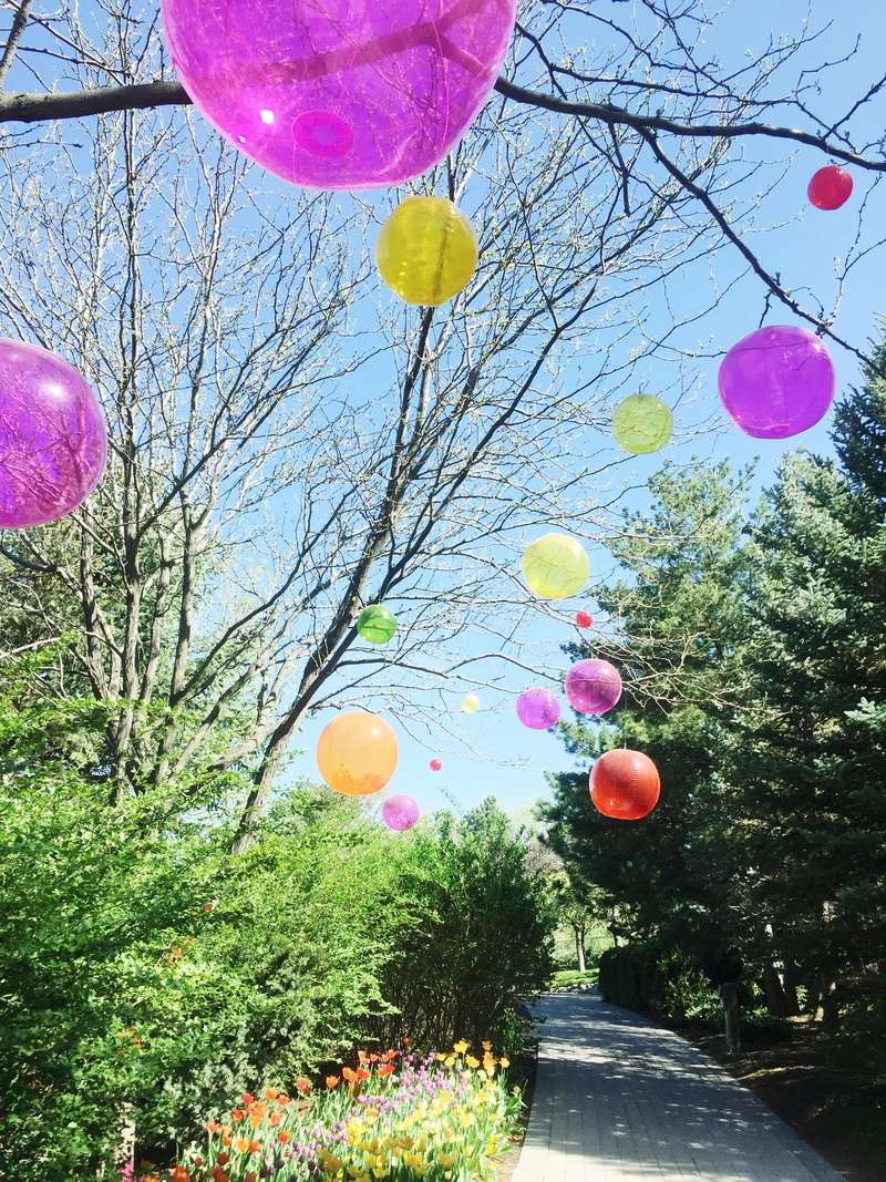 low angle view, helium balloon, flowers, multi colored, outdoors, trees, bright, balloon, pink color, balloons, 2K, day, air, branches, environment, decoration