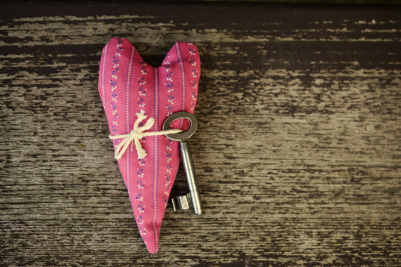 single object, 5K, connectedness, silver, love, day, freshness, healthy eating, brown, pink, two objects, emotion, feelings, friendship, high angle view