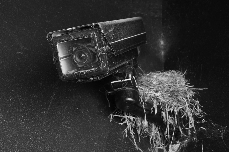 old, 2K, abandoned, still life, nature, container, studio shot, no people, close-up, black background, black, day, table, single object, equipment, watch