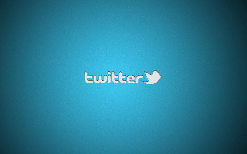 1080P, bird, white, twitter, microblogging