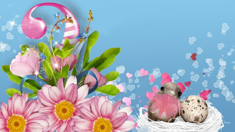 nest, twist, sweet, hearts, nature and landscapes, easter, 1080P, blue, flowers, spring, bird