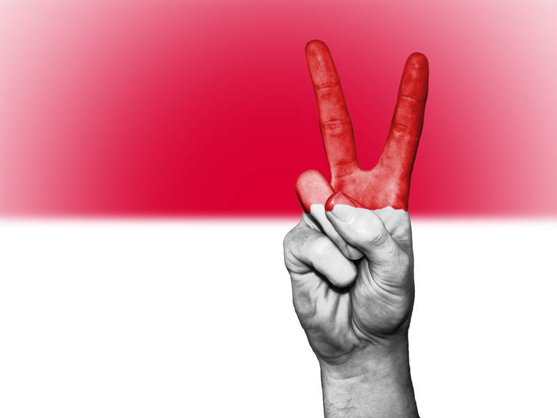 human finger, national, monaco, colors, gesturing, ink, body part, showing, 4K, human limb, flag, symbol, state, hand sign, holding, ensign, success, one person