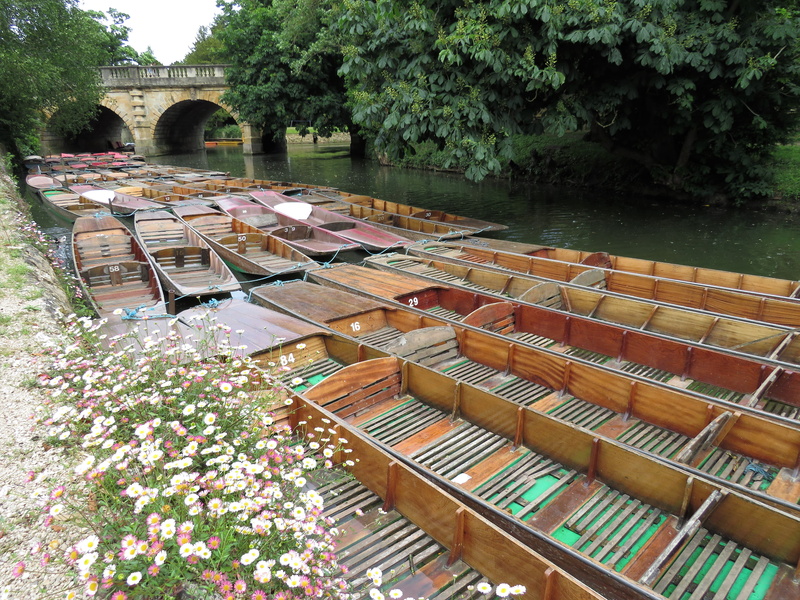 bridge, beauty in nature, arch bridge, outdoors, oxfordshire, boat, no people, nature, oxford, day, tree, built structure, punting, river, flower, connection
