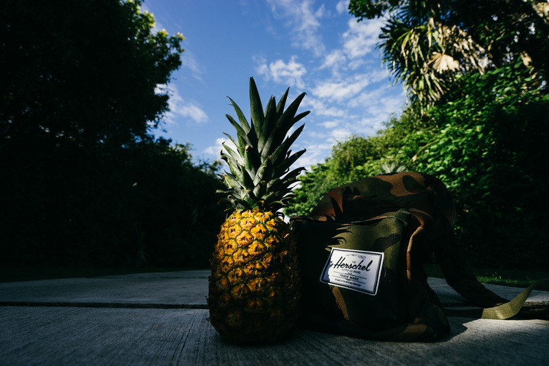 day, no people, outdoors, herschel, plant, tropical fruit, eat, banana, wellbeing, freshness, sky, growth, woodland, fruit, green color, forest, pineapple