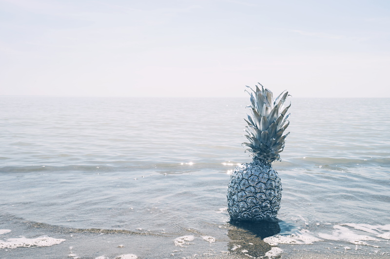 produce, pineapple, port stanley, metallic, daytime, clear sky, sunlight, 5K, sky, plant, water, copy space, ocean, sea, flora, day, grey, canada, cloud