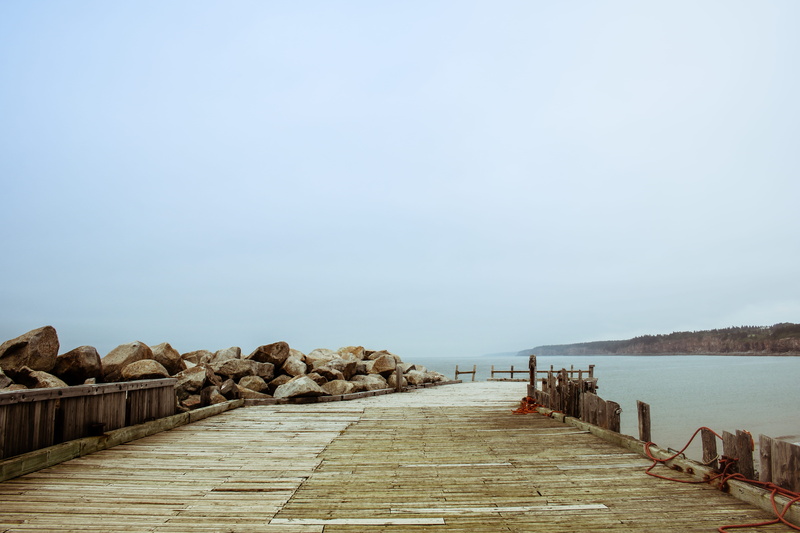 beauty in nature, the way forward, boardwalk, purple, wood, outdoors, 5K, tranquility, brown, lumber, jetty, waterfront, sea, pier, wooden, wood - material