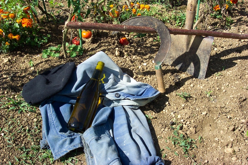 day, no people, tree trunk, serpe, outdoors, field, garden, land, beret, wine, nature, gardening, growth, tree, trunk, bottle, clothing, wood - material