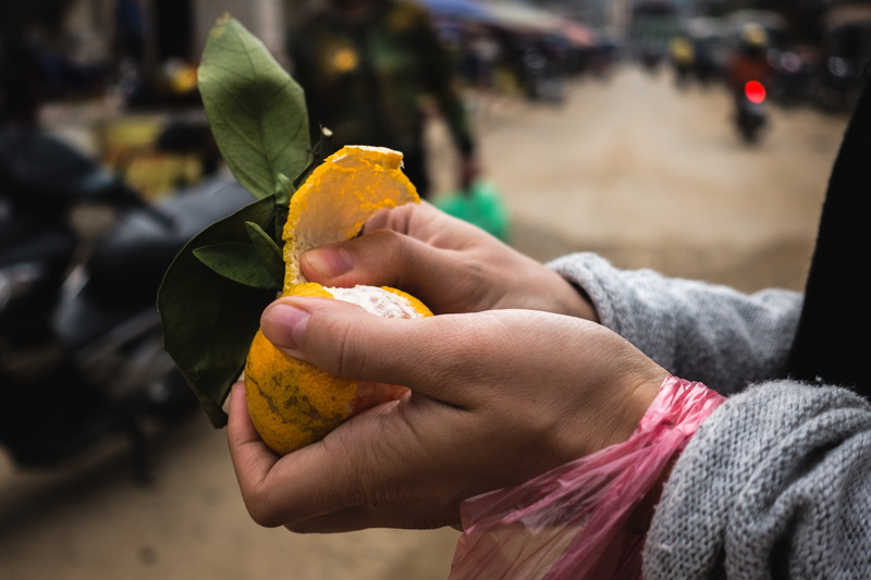 leisure activity, real people, lifestyles, citruses, people, leaf, day, one person, outdoors, fruit, food and drink, finger, tangerine, Girl, close-up