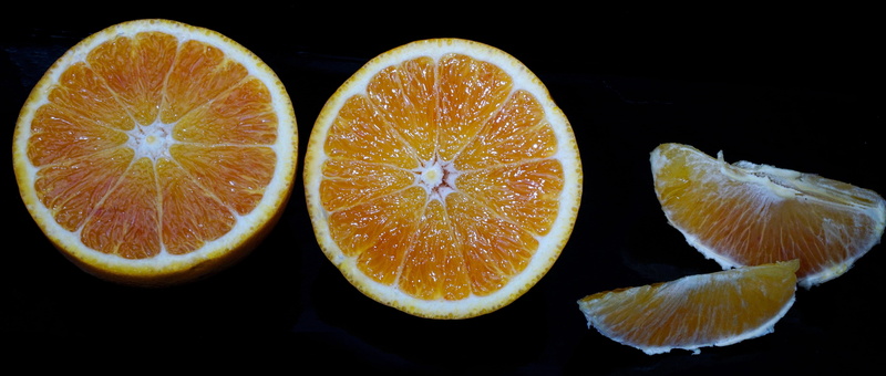 juice, anti-agin, freshness, cross section, vitamin c, fit, citrus fruit, vitaminhaltig, fruity, slice, delicious, healthy, orange color, group of objects