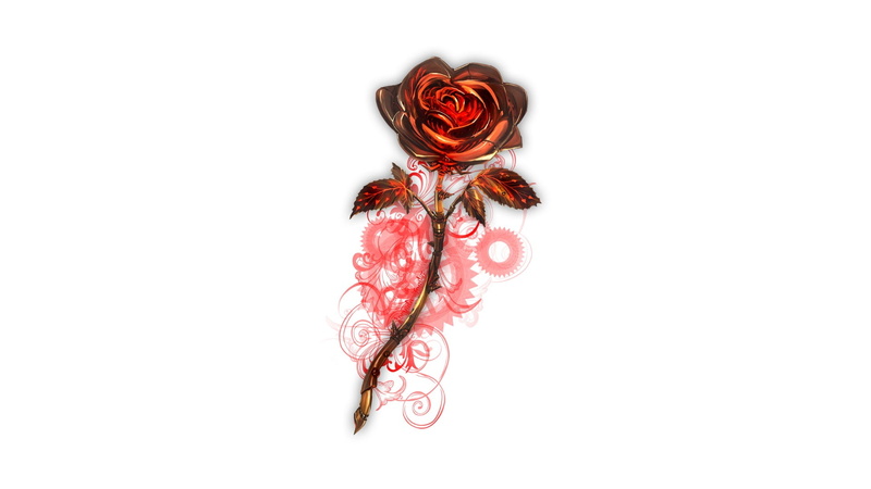 freshness, painting, single object, rose - flower, steampunk, rose, flower head, indoors, directly above, close-up, no people, flower, cut out, plant, nature