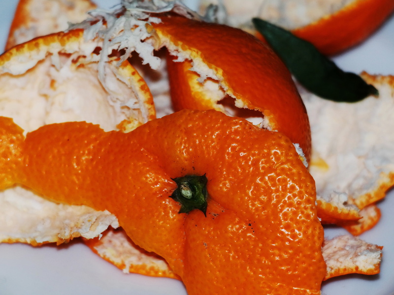 shell, indoors, orange color, food and drink, no people, waste, garnish, fruit, freshness, close-up, still life, healthy eating, leaf, orange peel, temptation