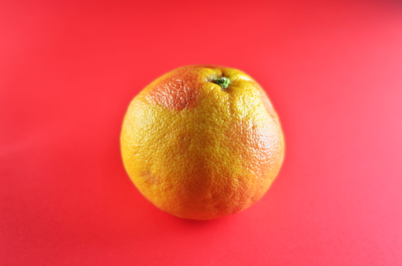 no people, insect, vegetarian food, orange color, red, plant, two objects, animal, indoors, droplet, fruit, citrus fruit, lime, grapefruit, single object