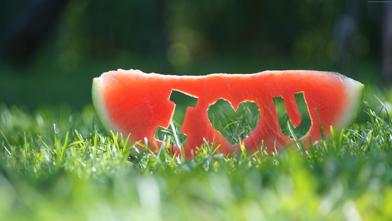 grass, love image, 4k, 4K, watermelon