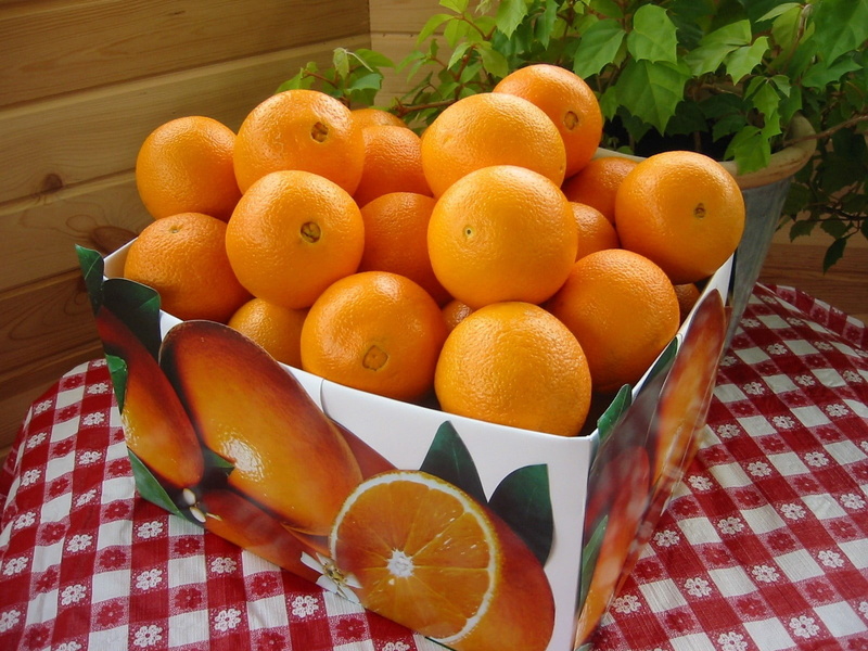 checked pattern, container, oranges, fruit, high angle view, agriculture, citrus, close-up, ripe, dieting, orange - Fruit, 720P, backgrounds, indoors