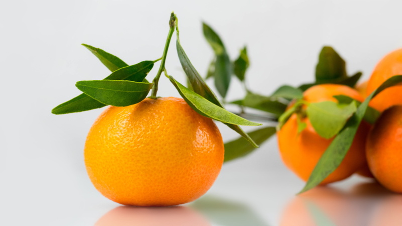 orange - fruit, food and drink, delicious, vitamin c, fruit, citrus fruits, orange, citrus fruit, close, vitamins, orange color, food, branch, wellbeing