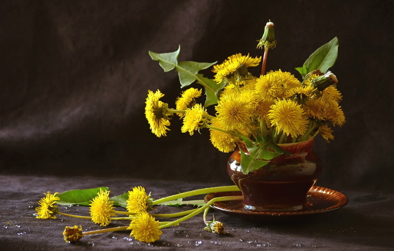 green, close-up, flower pot, flowers, nature, bunch of flowers, black background, inflorescence, table, sunflower, indoors, fragility, yellow, flower, vase