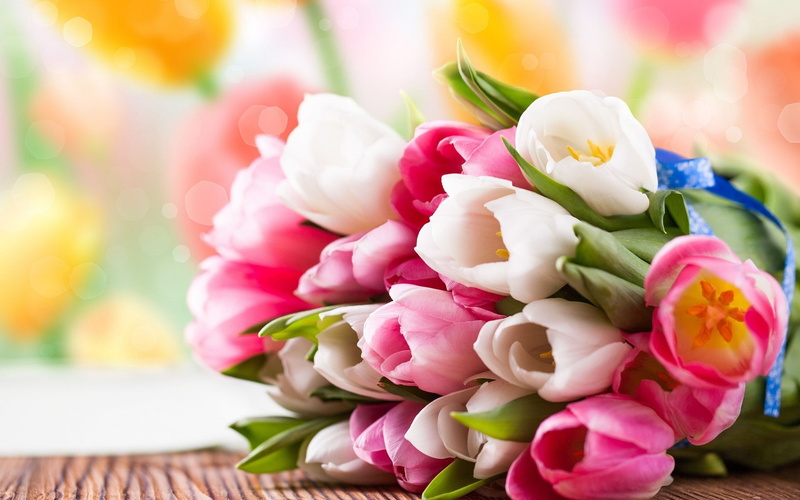 fragility, bouquet, flower, freshness, softness, flowers, tulips, flowering plant, plant, inflorescence, flower head, rose - flower, vulnerability, nature