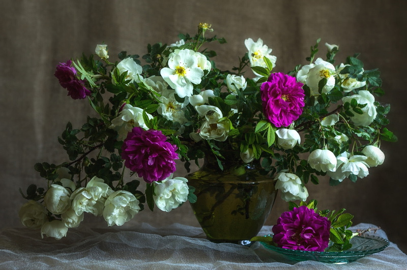 1080P, briar, bouquet, roses